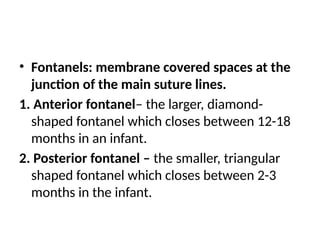 • Fontanels: membrane covered spaces at the
junction of the main suture lines.
1. Anterior fontanel– the larger, diamond-
shaped fontanel which closes between 12-18
months in an infant.
2. Posterior fontanel – the smaller, triangular
shaped fontanel which closes between 2-3
months in the infant.
 