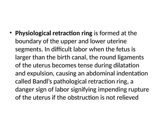 • Physiological retraction ring is formed at the
boundary of the upper and lower uterine
segments. In difficult labor when the fetus is
larger than the birth canal, the round ligaments
of the uterus becomes tense during dilatation
and expulsion, causing an abdominal indentation
called Bandl’s pathological retraction ring, a
danger sign of labor signifying impending rupture
of the uterus if the obstruction is not relieved
 