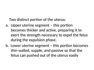 Two distinct portion of the uterus:
a. Upper uterine segment – this portion
becomes thicker and active, preparing it to
exert the strength necessary to expel the fetus
during the expulsion phase.
b. Lower uterine segment – this portion becomes
thin walled, supple, and passive so that the
fetus can pushed out of the uterus easily
 
