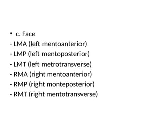 • c. Face
- LMA (left mentoanterior)
- LMP (left mentoposterior)
- LMT (left metrotransverse)
- RMA (right mentoanterior)
- RMP (right monteposterior)
- RMT (right mentotransverse)
 