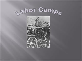 Labor Camps 