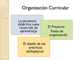 Organización Curricular

La secuencia
didáctica como
 recorrido de         El Proyecto:
 aprendizaje            Fases de
                       organización

   El diseño de las
       prácticas
     pedagógicas
 