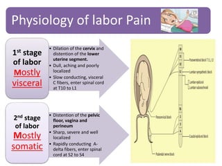 Physiology of labor Pain
• Dilation of the cervix and
distention of the lower
uterine segment.
• Dull, aching and poorly
localized
• Slow conducting, visceral
C fibers, enter spinal cord
at T10 to L1
1st stage
of labor
Mostly
visceral
• Distention of the pelvic
floor, vagina and
perineum
• Sharp, severe and well
localized
• Rapidly conducting A-
delta fibers, enter spinal
cord at S2 to S4
2nd stage
of labor
Mostly
somatic
 