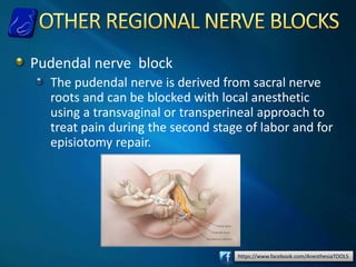 https://www.facebook.com/AnesthesiaTOOLS
Pudendal nerve block
The pudendal nerve is derived from sacral nerve
roots and can be blocked with local anesthetic
using a transvaginal or transperineal approach to
treat pain during the second stage of labor and for
episiotomy repair.
 