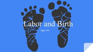 Labor and Birth
Ages: 14+
 