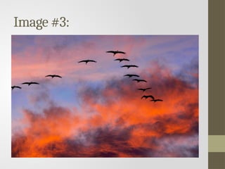 Labor and Migration powerpoint presentation | PPTX