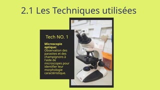 2.1 Les Techniques utilisées
Tech NO. 1
Microscopie
optique:
Observation des
parasites et des
champignons à
l'aide de
microscopes pour
identifier leur
morphologie
caractéristique.
 