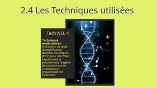 2.4 Les Techniques utilisées
Tech NO. 4
Techniques
moléculaires:
Utilisation de tests
d'amplification
d'acides nucléiques
(PCR) pour identifier
rapidement et
précisément l'espèce
de parasite ou de
champignon
responsable de
l'infection
 