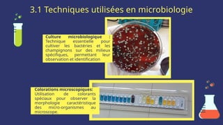 3.1 Techniques utilisées en microbiologie
Culture microbiologique :
Technique essentielle pour
cultiver les bactéries et les
champignons sur des milieux
spécifiques, permettant leur
observation et identification
Colorations microscopiques:
Utilisation de colorants
spéciaux pour observer la
morphologie caractéristique
des micro-organismes au
microscope.
 