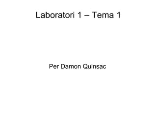 Laboratori 1 – Tema 1

Per Damon Quinsac

 