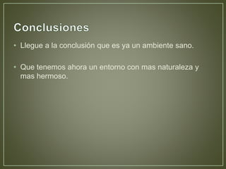 • Llegue a la conclusión que es ya un ambiente sano.
• Que tenemos ahora un entorno con mas naturaleza y
mas hermoso.