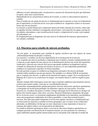 Departamento de Laboratorio Clínico. Hospital de Clínicas. 2004
________________________________________________________________________________________________
adhieren a la piel supraadyacente, con presencia o ausencia de ulceración de piel, que deforman
la región, entre otras características.
Dependiendo de las características clínicas de la lesión, es como se seleccionará la muestra a
estudiar.
Para el estudio de este grupo de micosis es fundamental que la muestra se tome en el laboratorio
por el especialista y la mayoría de las veces para establecer un diagnóstico certero es necesario
tomar mas de una muestra.
La muestra se podrá obtener por compresión intensa de bordes laterales de la lesión, sobre todo
en aquellas lesiones nodulares con pequeñas ulceraciones; o por punción con aguja y jeringa de
los nódulos subcutáneos, o por escarificación de la piel y compresión de la zona, o por raspado
del subcutáneo, etc.
Es fundamental para el diagnóstico de estas micosis la obtención de muestras representativas
(en calidad y cantidad).
3.3. Muestras para estudio de micosis profundas.
En este grupo se encuentran gran cantidad de agentes micóticos que son capaces de causar
enfermedad profunda localizada o sistémica.
Las muestras a estudiar son diversas dependiendo de la localización de la micosis.
Si se sospecha una micosis profunda es importante que el médico examine cuidadosamente piel
y mucosas ya que alguna de estas micosis en su diseminación afectan este sector del organismo,
siendo piel y mucosas una zona de fácil acceso que puede establecer un diagnóstico precoz,
evitando las obtención de muestras por técnicas invasivas y lo mas importante permitiendo
establecer un tratamiento específico en forma inmediata.
En todo paciente en quien se establezca un diagnóstico presuntivo de micosis profunda
sistémica debe estudiarse mas de una muestra. Por ejemplo si se obtiene LCR de un paciente
que se sospecha una micosis, se debe enviar muestras de esputo y sangre. No es excepcional el
hallazgo de Cryptococcus neoformans en sangre, con examen directo y cultivos negativos para
LCR.
Además siempre debe interrogarse acerca de viajes a regiones endémicas para despistar micosis
exóticas para nuestro medio, como por ej: coccidiodomicomicosis.
En pacientes inmunodeprimidos pueden presentarse diversas infecciones micóticas oportunistas
y emergentes de localización profunda; las diferentes especies de Aspergillus, Fusarium,
Zygomicetos, levaduras del genero Candida y hongos del grupo de las Dematiáceas (hongos de
pared color marrón-negro), entre otros, así como bacterias filamentosas integrantes del grupo
de los Actinomycetales; se encuentran ampliamente distribuidas en la naturaleza, encontrándose
como microorganismos ambientales de la flora anemófila, o como flora normal de piel y
mucosas. Por tanto para poder interpretar el rol de estos agentes micóticos es fundamental que
se seleccionen las muestras a estudiar en forma apropiada y que se tomen en las condiciones
adecuadas; no debiéndose olvidar que en estas situaciones es muy importante el encare en
conjunto del médico clínico con el especialista de laboratorio.
Los médicos debemos permanecer alerta a cerca de las afecciones fúngicas oportunistas en
cualquier paciente con alteración de la respuesta inmune; en estos pacientes los síntomas y
signos habituales pueden quedar enmascarados por lo cual puede estar indicado el estudio de
 