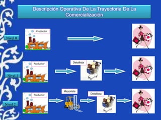 Descripción Operativa De La Trayectoria De La
Comercialización
Nivel 0
Nivel 1
Nivel 2
Productor
Productor
Productor
Detallista
Detallista
Mayorista
 