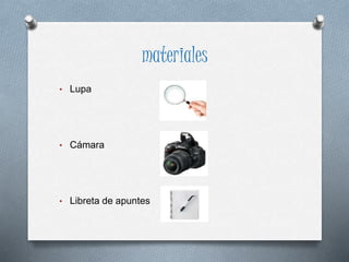 materiales
• Lupa
• Cámara
• Libreta de apuntes
 