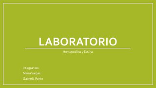 LABORATORIO
Hematoxilina y Eosina
Integrantes:
MaríaVargas
Gabriela Ponte
 