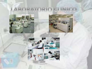 Laboratorio
