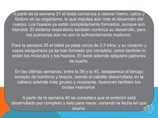 A partir de la semana 31 el bebé comienza a retener hierro, calcio y
fósforo en su organismo, lo que impulsa aún más el desarrollo del
cuerpo. Los huesos ya están completamente formados, aunque aún
blandos. El sistema respiratorio también continúa su desarrollo, pero
los pulmones aún no son lo suficientemente maduros.
Para la semana 35 el bebé ya pesa cerca de 2,5 kilos, y su corazón y
vasos sanguíneos ya se han formado por completo, como también lo
están los músculos y los huesos. El bebé además adquiere patrones
de sueño.
En las últimas semanas, entre la 38 y la 40, desaparece el lanugo
excepto de hombros y brazos, siendo el cabello desarrollado en la
cabeza además más grueso y resistente. Aparecen también los
brotes mamarios.
A partir de la semana 40 se considera que el embrión está
desarrollado por completo y listo para nacer, variando la fecha en que
ocurre.
 