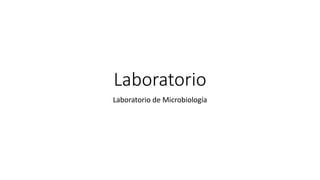Laboratorio
Laboratorio de Microbiología
 
