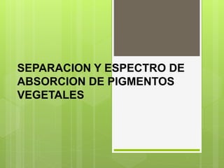 SEPARACION Y ESPECTRO DE
ABSORCION DE PIGMENTOS
VEGETALES
 