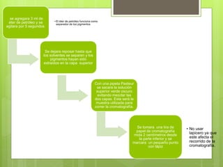 se agregara 3 ml de
éter de petróleo y se
agitara por 5 segundos.
• El éter de petróleo funciona como
separador de los pigmentos
Se dejara reposar hasta que
los solventes se separen y los
pigmentos hayan sido
extraídos en la capa superior
Con una pipeta Pasteur
se sacara la solución
superior verde oscuro
evitando mezclar las
dos capas. Esta será la
muestra utilizada para
correr la cromatografía.
Se tomara una tira de
papel de cromatografía
mida 2 centímetros desde
la parte inferior y se
marcara un pequeño punto
con lápiz
• No usar
lapicero ya que
este afecta el
recorrido de la
cromatografía.
 