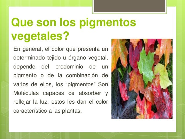 Laboratorio pigmentos