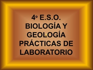 4º E.S.O.
 BIOLOGÍA Y
  GEOLOGÍA
PRÁCTICAS DE
LABORATORIO
 