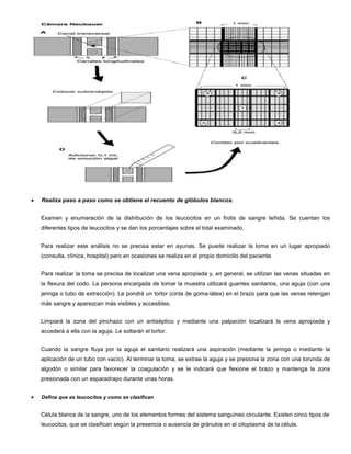  Realiza paso a paso como se obtiene el recuento de glóbulos blancos.
Examen y enumeración de la distribución de los leucocitos en un frotis de sangre teñida. Se cuentan los
diferentes tipos de leucocitos y se dan los porcentajes sobre el total examinado.
Para realizar este análisis no se precisa estar en ayunas. Se puede realizar la toma en un lugar apropiado
(consulta, clínica, hospital) pero en ocasiones se realiza en el propio domicilio del paciente.
Para realizar la toma se precisa de localizar una vena apropiada y, en general, se utilizan las venas situadas en
la flexura del codo. La persona encargada de tomar la muestra utilizará guantes sanitarios, una aguja (con una
jeringa o tubo de extracción). Le pondrá un tortor (cinta de goma-látex) en el brazo para que las venas retengan
más sangre y aparezcan más visibles y accesibles.
Limpiará la zona del pinchazo con un antiséptico y mediante una palpación localizará la vena apropiada y
accederá a ella con la aguja. Le soltarán el tortor.
Cuando la sangre fluya por la aguja el sanitario realizará una aspiración (mediante la jeringa o mediante la
aplicación de un tubo con vacío). Al terminar la toma, se extrae la aguja y se presiona la zona con una torunda de
algodón o similar para favorecer la coagulación y se le indicará que flexione el brazo y mantenga la zona
presionada con un esparadrapo durante unas horas.
 Defina que es leucocitos y como se clasifican
Célula blanca de la sangre, uno de los elementos formes del sistema sanguíneo circulante. Existen cinco tipos de
leucocitos, que se clasifican según la presencia o ausencia de gránulos en el citoplasma de la célula.
 
