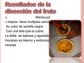  Maracuyá
 Interior: tiene multiplex semillas
Su color de semilla negra
Con una tela que la cubre.
La telita es babosa y agradable su
mocarpo es blanco y endocarpo
naranja
 