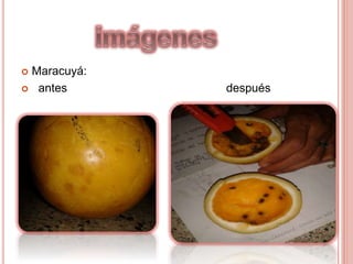  Maracuyá:
 antes después
 