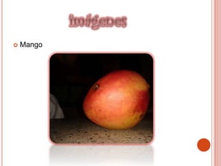  Mango
 