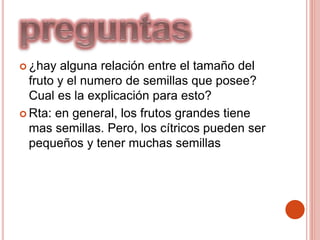  ¿hay alguna relación entre el tamaño del
fruto y el numero de semillas que posee?
Cual es la explicación para esto?
 Rta: en general, los frutos grandes tiene
mas semillas. Pero, los cítricos pueden ser
pequeños y tener muchas semillas
 