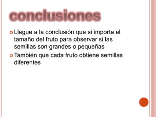  Llegue a la conclusión que si importa el
tamaño del fruto para observar si las
semillas son grandes o pequeñas
 También que cada fruto obtiene semillas
diferentes
 