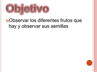 Observar los diferentes frutos que
hay y observar sus semillas
 