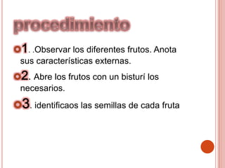 . .Observar los diferentes frutos. Anota
sus características externas.
. Abre los frutos con un bisturí los
necesarios.
. identificaos las semillas de cada fruta
 