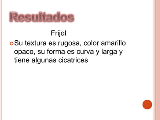 Frijol
Su textura es rugosa, color amarillo
opaco, su forma es curva y larga y
tiene algunas cicatrices
 