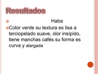  Haba
Color verde su textura es lisa a
terciopelado suave, olor insípido,
tiene manchas cafés su forma es
curva y alargada
 
