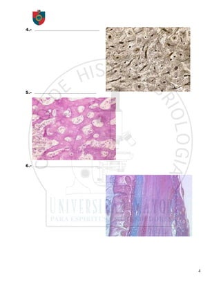 4.- ……………………………………………………




5.- …………………………………………………




6.- ………………………………………………….




                           4
 