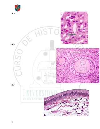 3.-




4.-




5.-




3
 