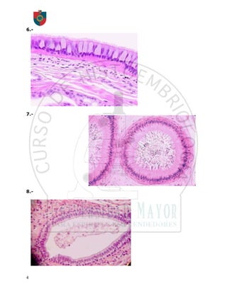 6.-




7.-




8.-




4
 