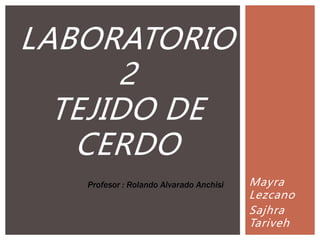 Mayra
Lezcano
Sajhra
Tariveh
LABORATORIO
2
TEJIDO DE
CERDO
Profesor : Rolando Alvarado Anchisi
 
