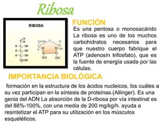 CARBOHIDRATOS- FUNCIONES E IMPORTANCIA BIOLOGICA | PPTX