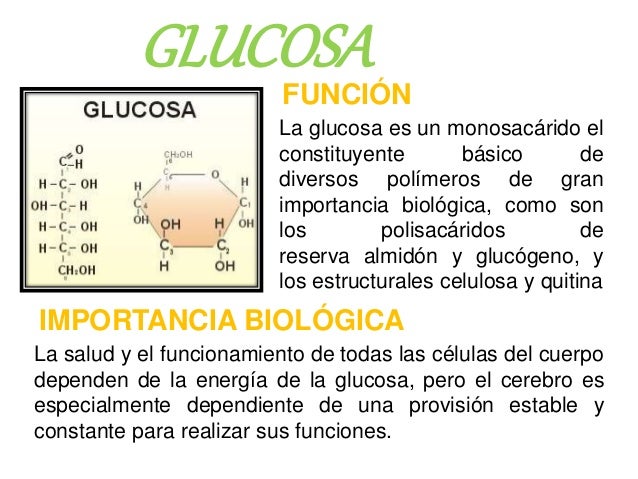 CARBOHIDRATOS- FUNCIONES E IMPORTANCIA BIOLOGICA CARBOHIDRATOS- FUNCIONES E IMPORTANCIA BIOLOGICA