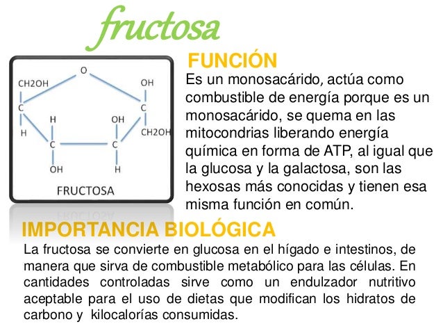 CARBOHIDRATOS- FUNCIONES E IMPORTANCIA BIOLOGICA CARBOHIDRATOS- FUNCIONES E IMPORTANCIA BIOLOGICA