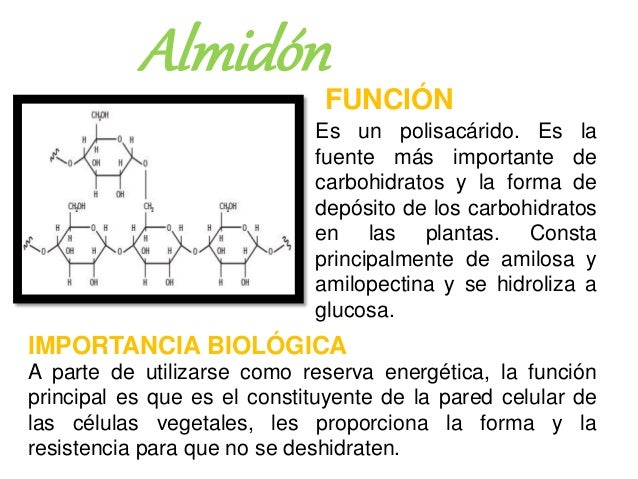 CARBOHIDRATOS- FUNCIONES E IMPORTANCIA BIOLOGICA CARBOHIDRATOS- FUNCIONES E IMPORTANCIA BIOLOGICA