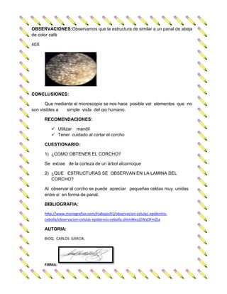 OBSERVACIONES:Observamos que la estructura de similar a un panal de abeja
de color café
40X

CONCLUSIONES:
Que mediante el microscopio se nos hace posible ver elementos que no
son visibles a
simple vista del ojo humano.
RECOMENDACIONES:
 Utilizar mandil
 Tener cuidado al cortar el corcho
CUESTIONARIO:
1) ¿COMO OBTENER EL CORCHO?
Se extrae de la corteza de un árbol alcornoque
2) ¿QUE ESTRUCTURAS SE OBSERVAN EN LA LAMINA DEL
CORCHO?
Al observar el corcho se puede apreciar pequeñas celdas muy unidas
entre si en forma de panal.
BIBLIOGRAFIA:
http://www.monografias.com/trabajos91/observacion-celulas-epidermiscebolla/observacion-celulas-epidermis-cebolla.shtml#ixzz2WzDFmZJa

AUTORIA:
BIOQ. CARLOS GARCIA.

FIRMA:

 