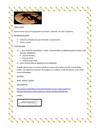 CONCLUSION:
Determinamos que con la ayuda del microscopio podemos ver seres pequeños.
RECOMENDACIONES:
 Colocarla centrada para que nos facilita la observación.
 Utilizar mandil
CUESTIONARIO:
1) ¿ QUE TIPOS DE COLORANTES PUEDE UTILIZAR PARA LA OBSERVACION DE PLACAS CON
CELULAS ANIMALES?
 Azul de metileno
 Rojo de metilo
 Violeta de genciana.
2) ¿QUE ESTRUCTURA SE OBSERVO EN LA HORMIGA?
Se pudo observar que su cuerpo se divide en cuerpo cola y cabeza con seis extremidades
unidas a las diferentes secciones del cuerpo y en su cabeza un par de antenas y con varios
micros vellosidades
AUTORIA:
BIOQ. CARLOS GARCIA
BIBLIOGRAFIA:
http://www.monografias.com/trabajos91/observacion-celulas-epidermiscebolla/observacion-celulas-epidermis-cebolla.shtml#ixzz2WzDFmZJa
FIRMA:

 