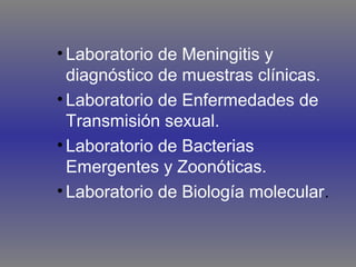 • Laboratorio de Meningitis y
diagnóstico de muestras clínicas.
• Laboratorio de Enfermedades de
Transmisión sexual.
• Laboratorio de Bacterias
Emergentes y Zoonóticas.
• Laboratorio de Biología molecular.

 