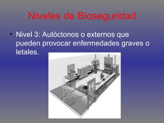 Niveles de Bioseguridad
• Nivel 3: Autóctonos o externos que
pueden provocar enfermedades graves o
letales.

 