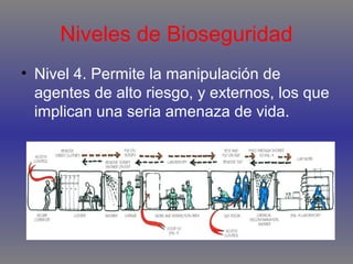 Niveles de Bioseguridad
• Nivel 4. Permite la manipulación de
agentes de alto riesgo, y externos, los que
implican una seria amenaza de vida.

 