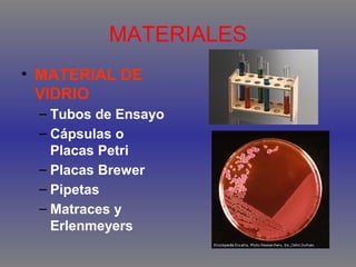 MATERIALES
• MATERIAL DE
VIDRIO
– Tubos de Ensayo
– Cápsulas o
Placas Petri
– Placas Brewer
– Pipetas
– Matraces y
Erlenmeyers

 
